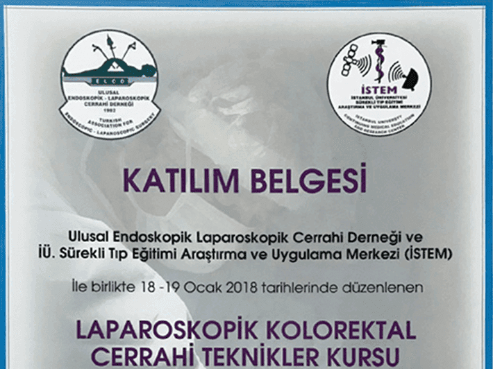 Laparoskopik Kolorektal Cerrahi Teknikler Kursu, 2018